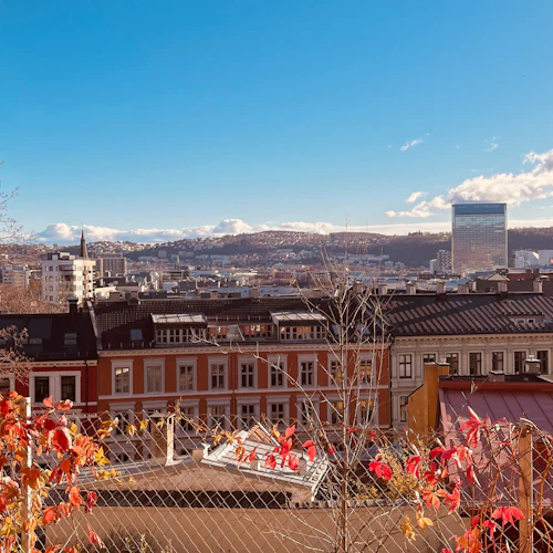 Oslo: Guided Walking Tour + Lunch + Tram Ticket - Photo 3