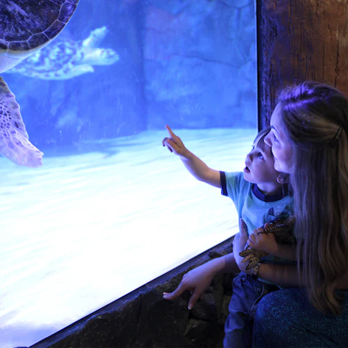 SEA LIFE Grapevine