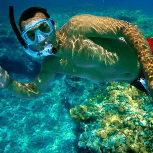 Tour com duas paradas para snorkeling - Photo 6