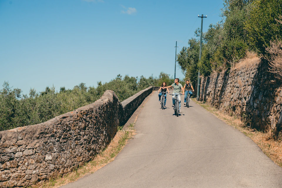 Florence hills
