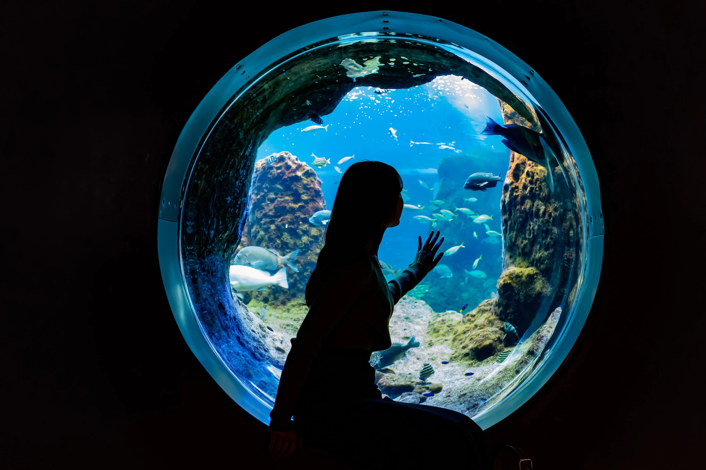 Enoshima Aquarium: Entry Ticket