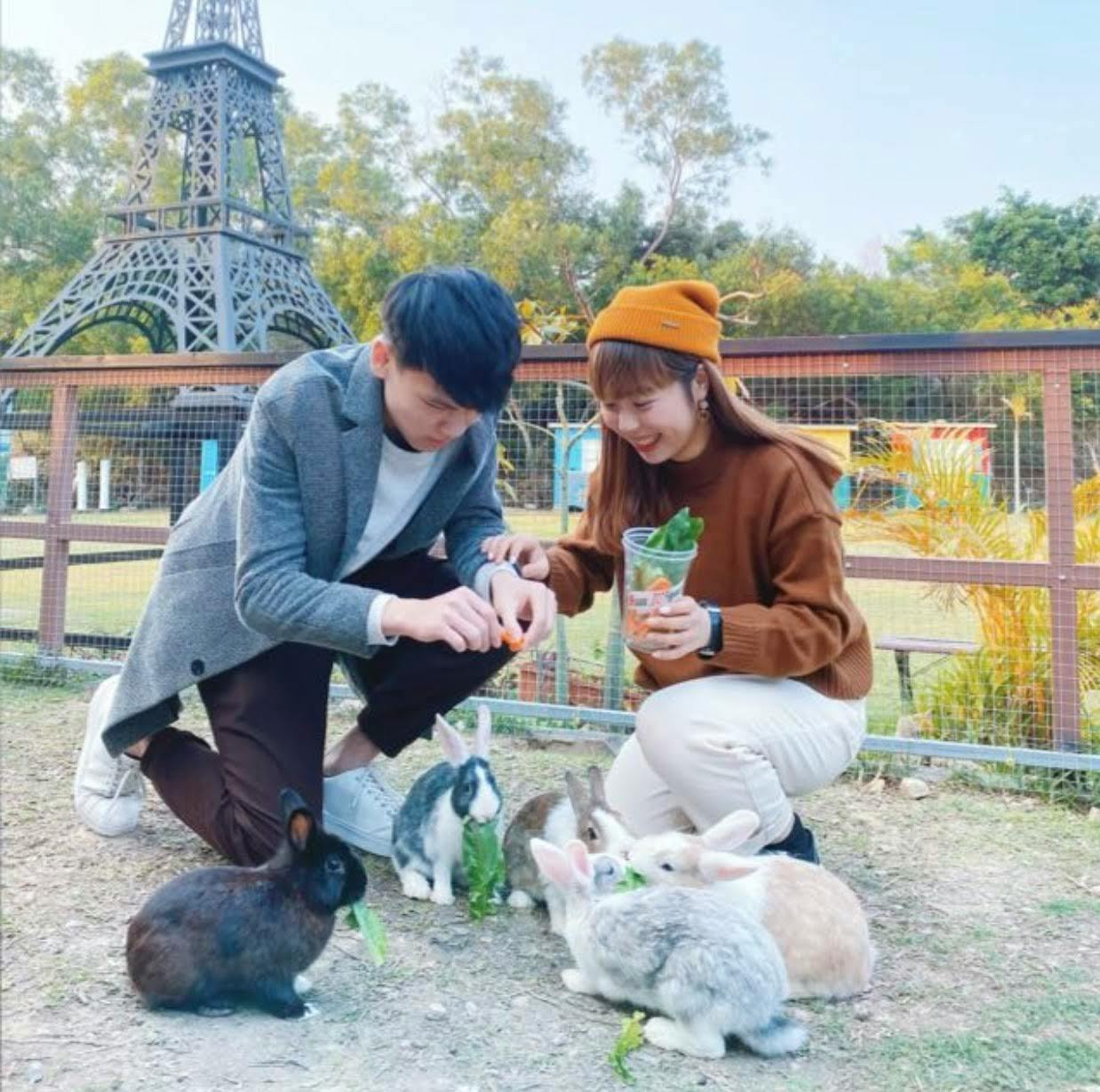 A man and a woman crouching to feed a group of rabbits in an outdoor setting near a replica of the Eiffel Tower.