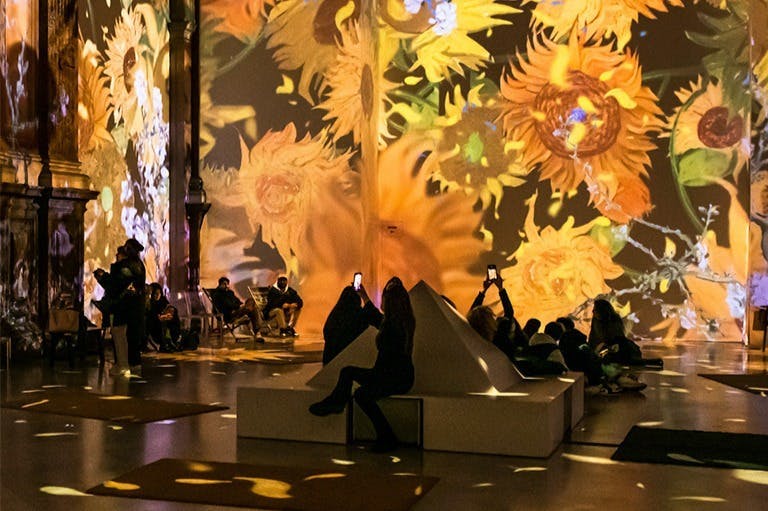 Le persone siedono e stanno in piedi in una stanza con grandi immagini di girasoli proiettate sulle pareti.