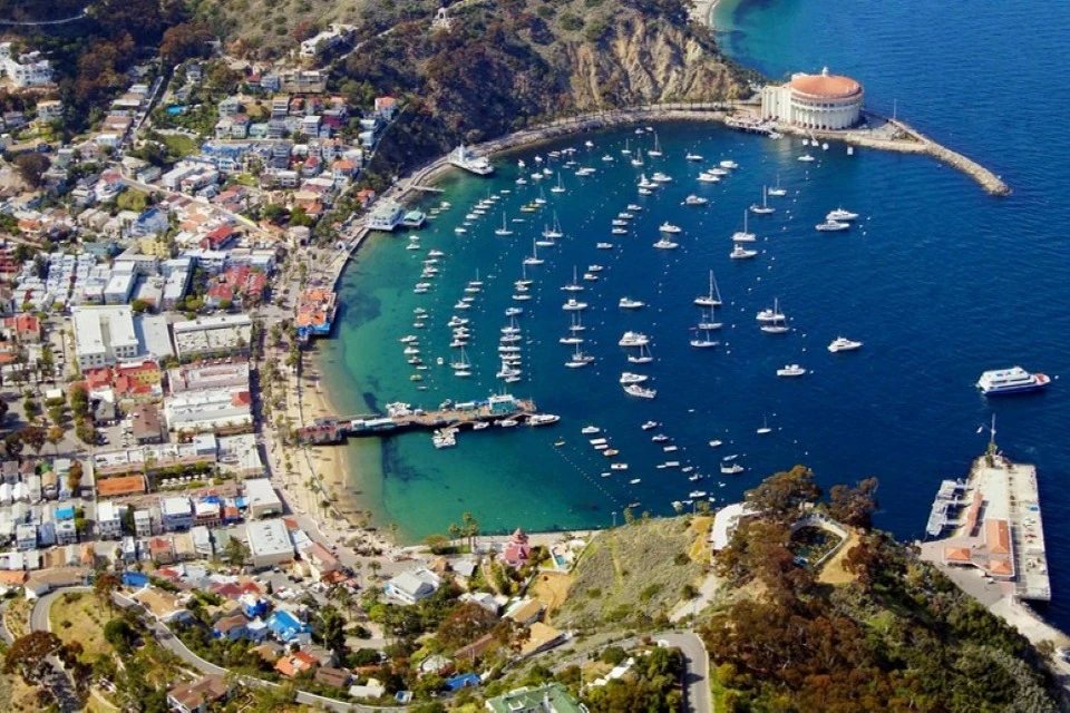 Catalina Island: Day Trip + Scenic Driving Tour