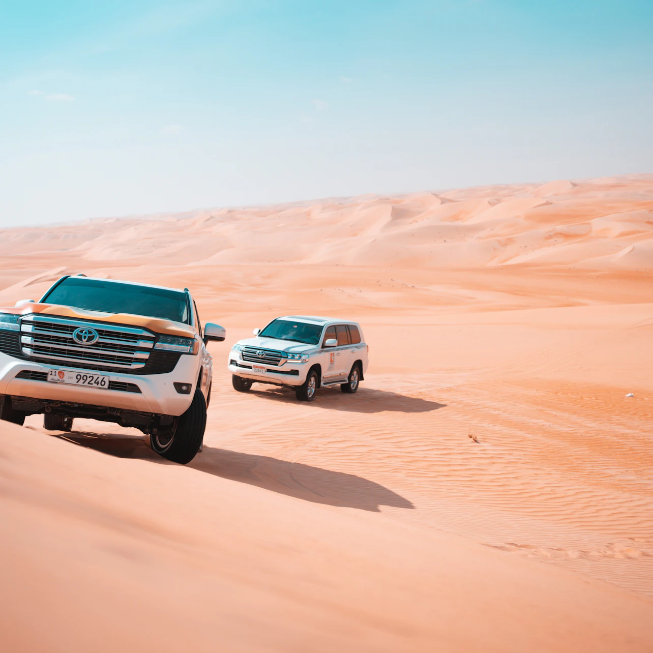 Abu Dhabi: Guided Liwa Desert Safari + Roundtrip Transfer + Lunch 3