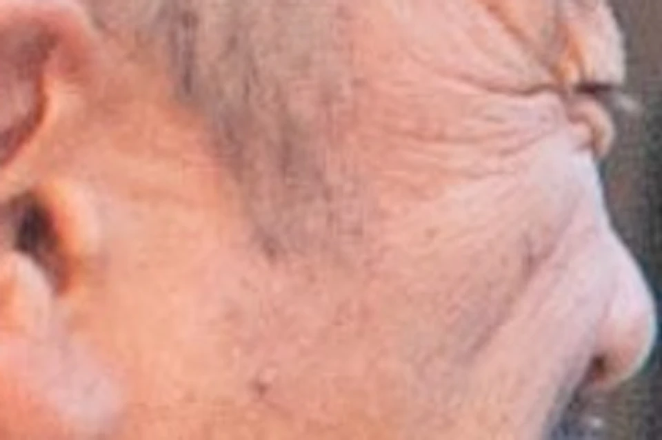 Roundtrip Transportation from Waikiki