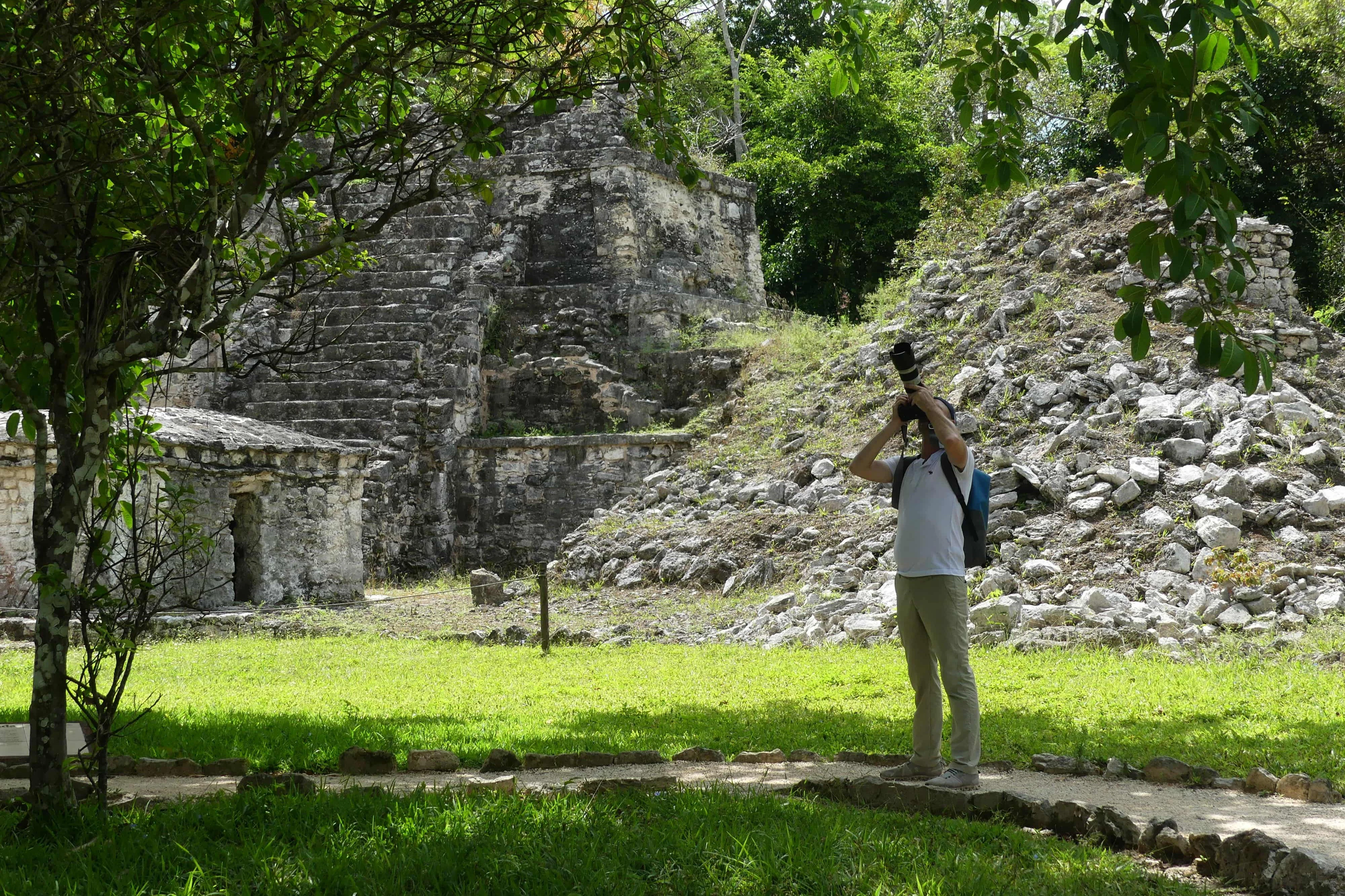 Muyil: Guided Bird Watching Tour + Breakfast + Transfer