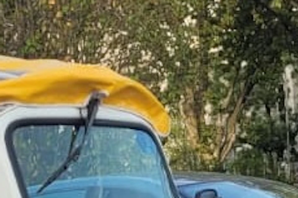 Our tuktuks