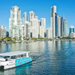 Gold Coast: Go Hopo Explorer Pass 2