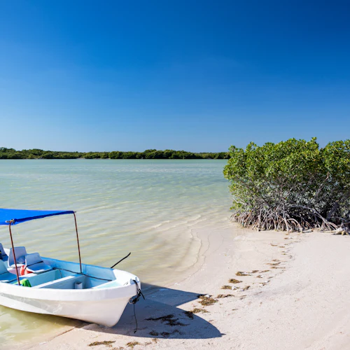 Rio Lagartos e Las Coloradas: Visita guiada, almoço com bebidas + traslado - Photo 4