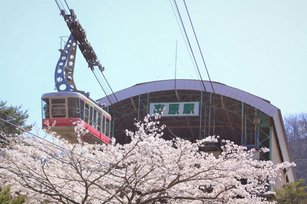 Kyushu Beppu & Yufuin: 1-Day Bus Pass from Airport to Beppu City