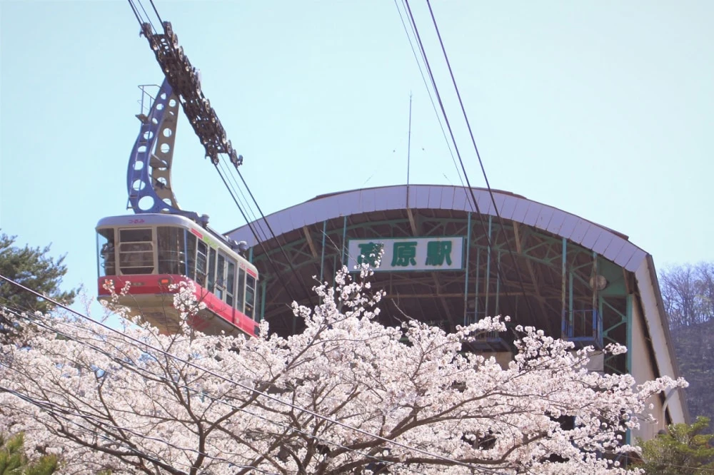 Kyushu Beppu & Yufuin: 1-Day Bus Pass from Airport to Beppu City