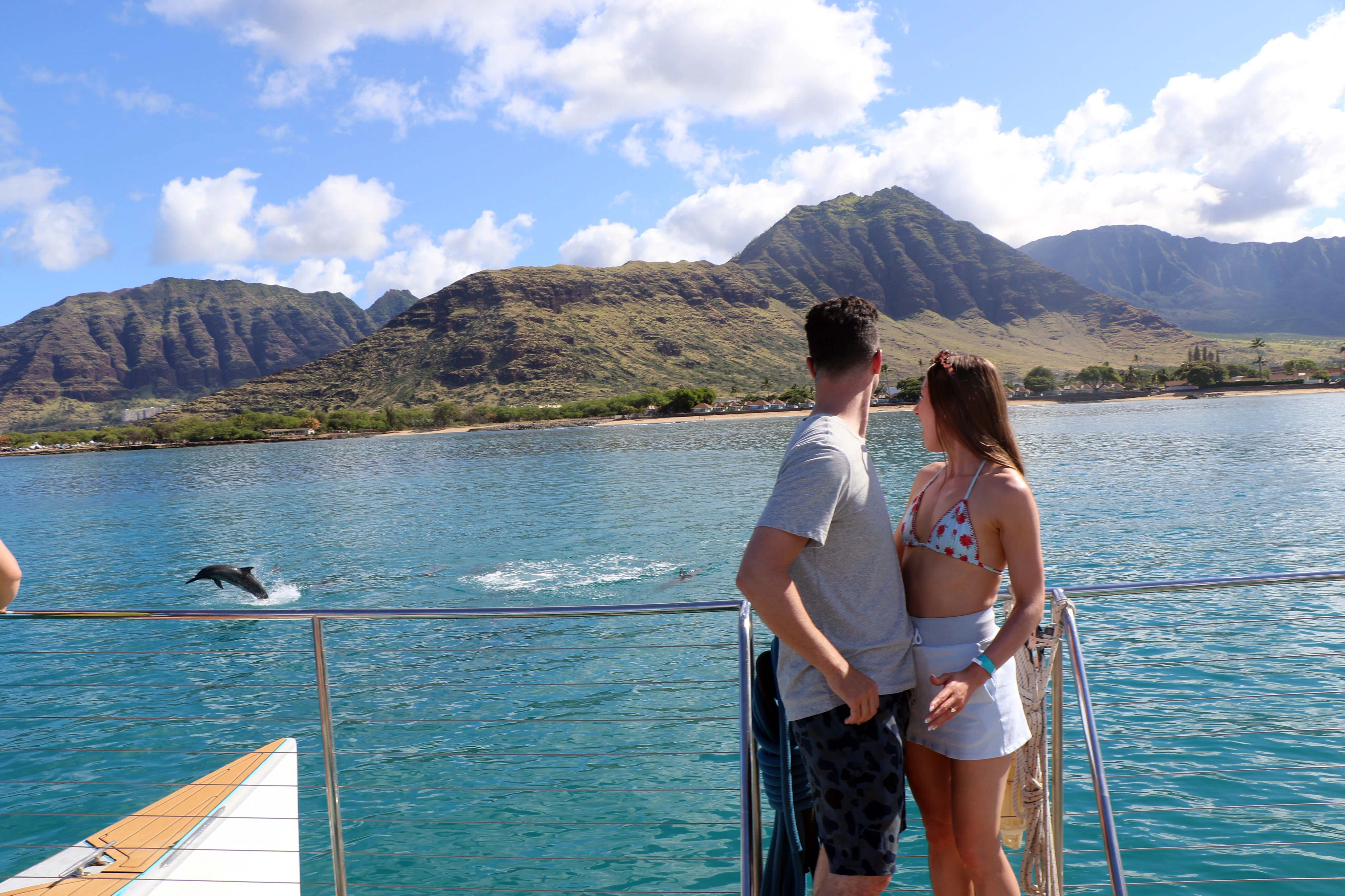 O'ahu: Dolphin Watching Cruise, Zipline, Snorkeling + Lunch & Drinks