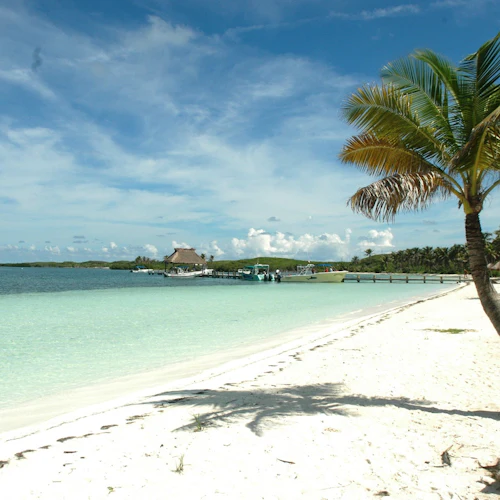 Isla Contoy & Isla Mujeres: Boat and Snorkel Tour from Cancún - Photo 8