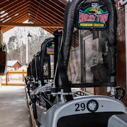Rocky Top Mountain Coaster: Entry Ticket 2