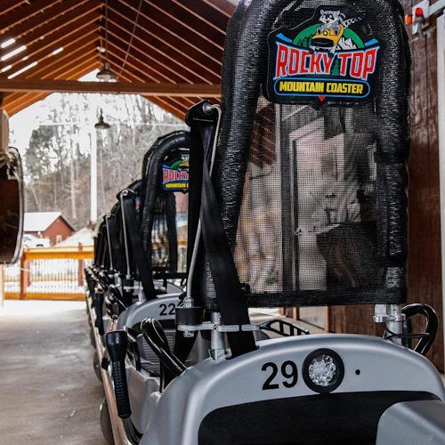 Rocky Top Mountain Coaster: bilhete de entrada - Photo 2