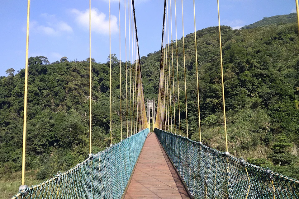 A suspension bridge with wooden planks and netted sides spans a lush green forest under a clear, blue sky.