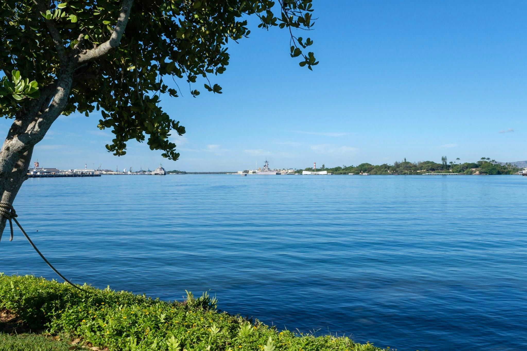 A calm body of water with a tree branch in the foreground and distant ships and greenery under a clear blue sky.