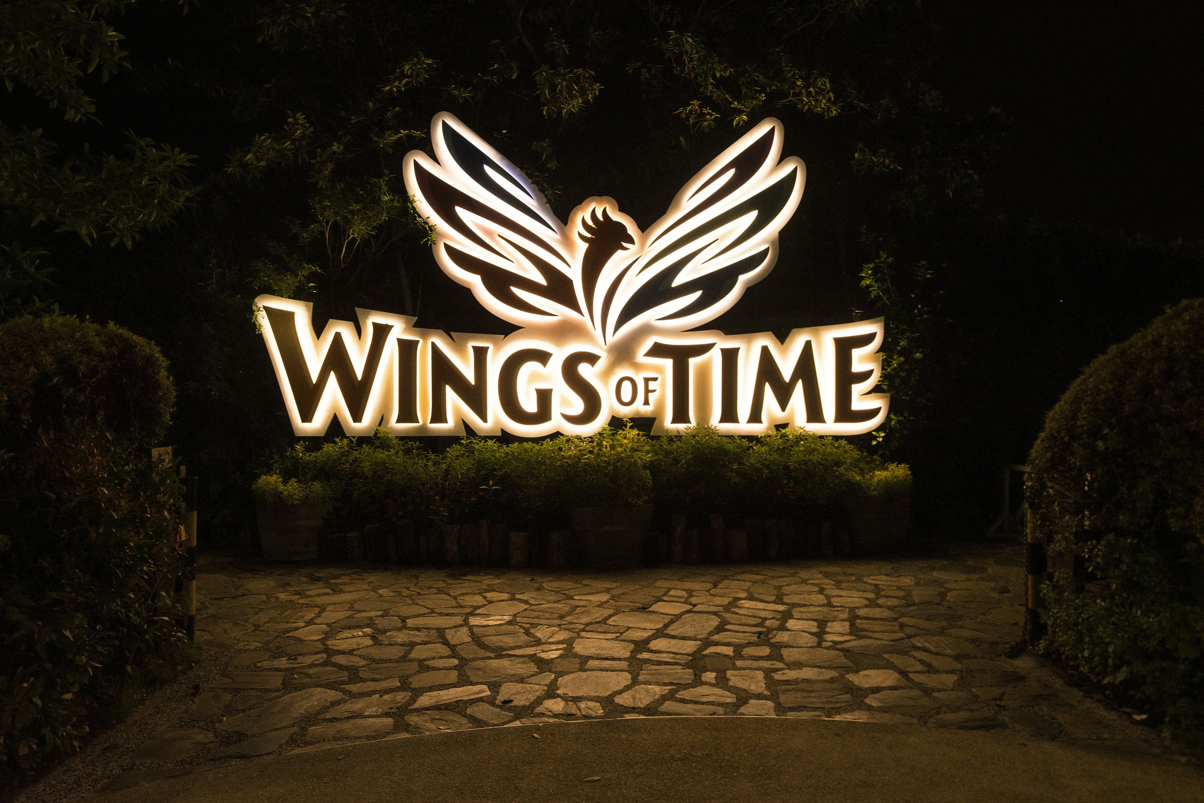 Wings of Time