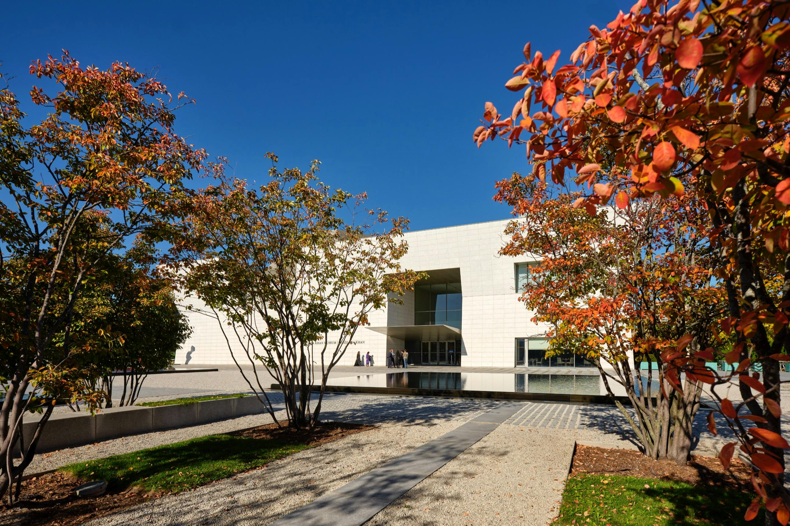Moderní bílá budova viděná skrz stromy s podzimním listím, pod jasně modrou oblohou, s dlážděnou stezkou v popředí.