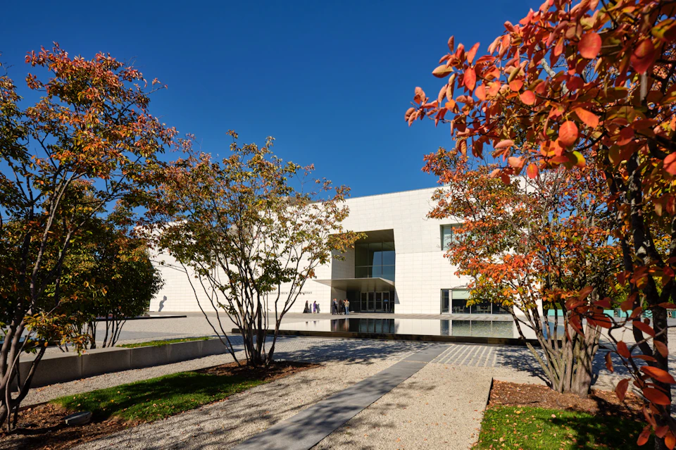 A modern white building seen through trees with autumn leaves, under a clear blue sky, with a paved path in the foreground.