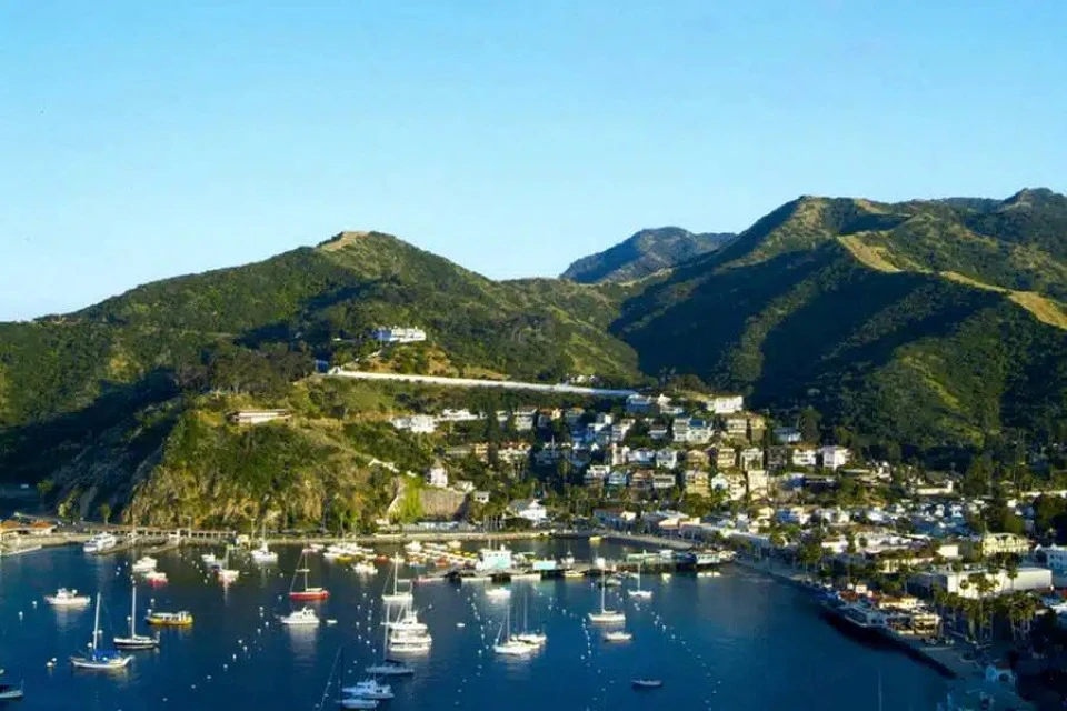 Daytrip to Catalina Island with Hotel Transportation