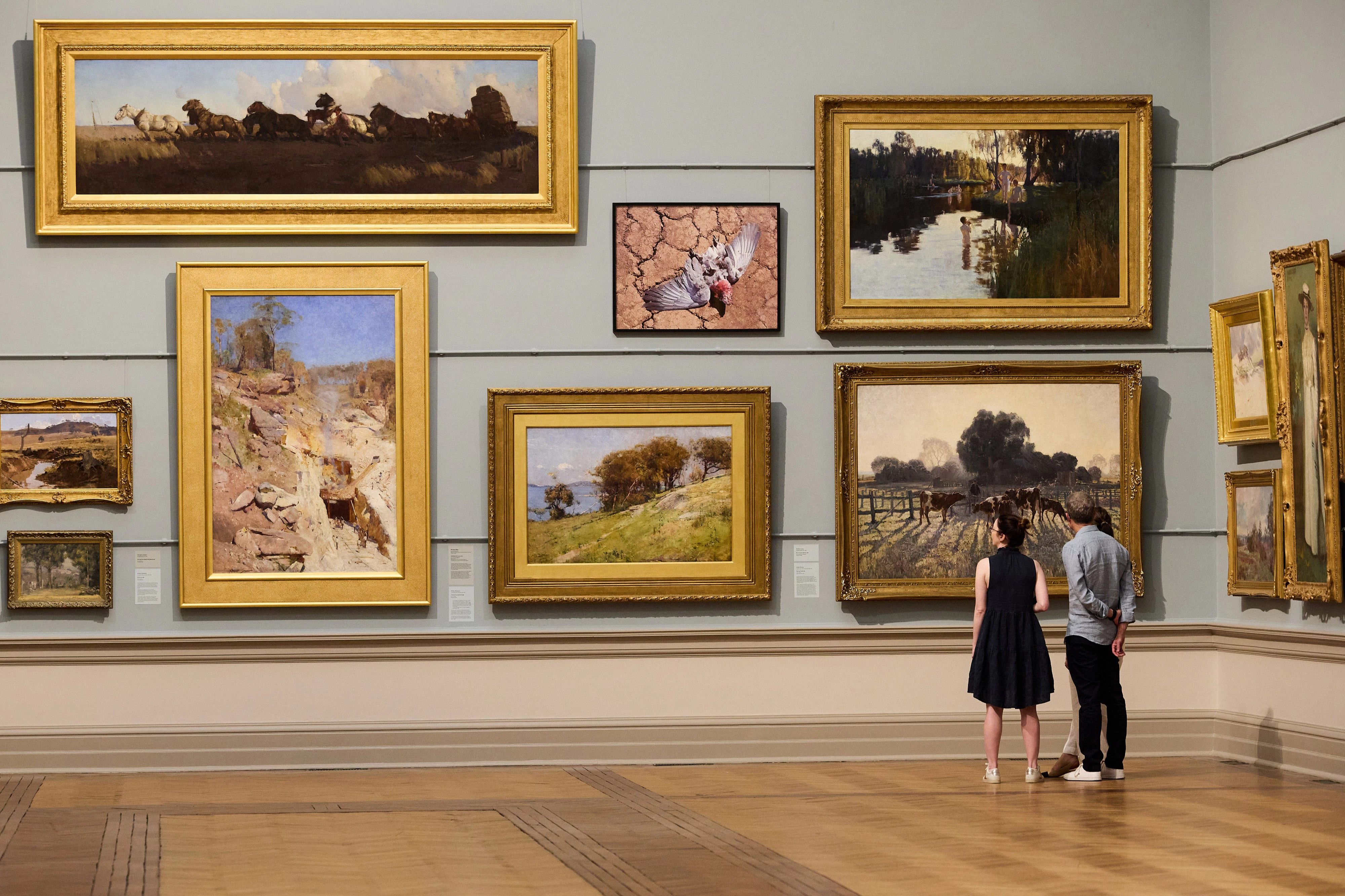 Art Gallery of New South Wales: Australian Art Stories Guided Tour