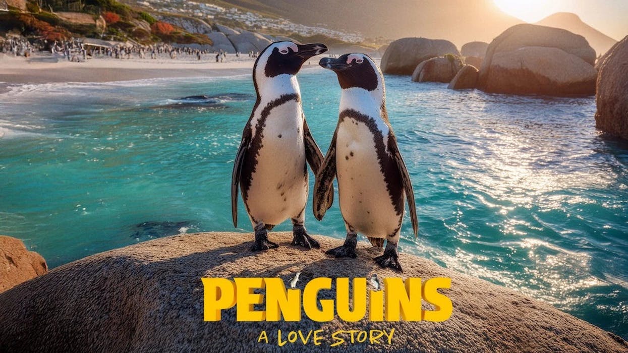 Simons Theatre: Penguins - A Love Story Film 2