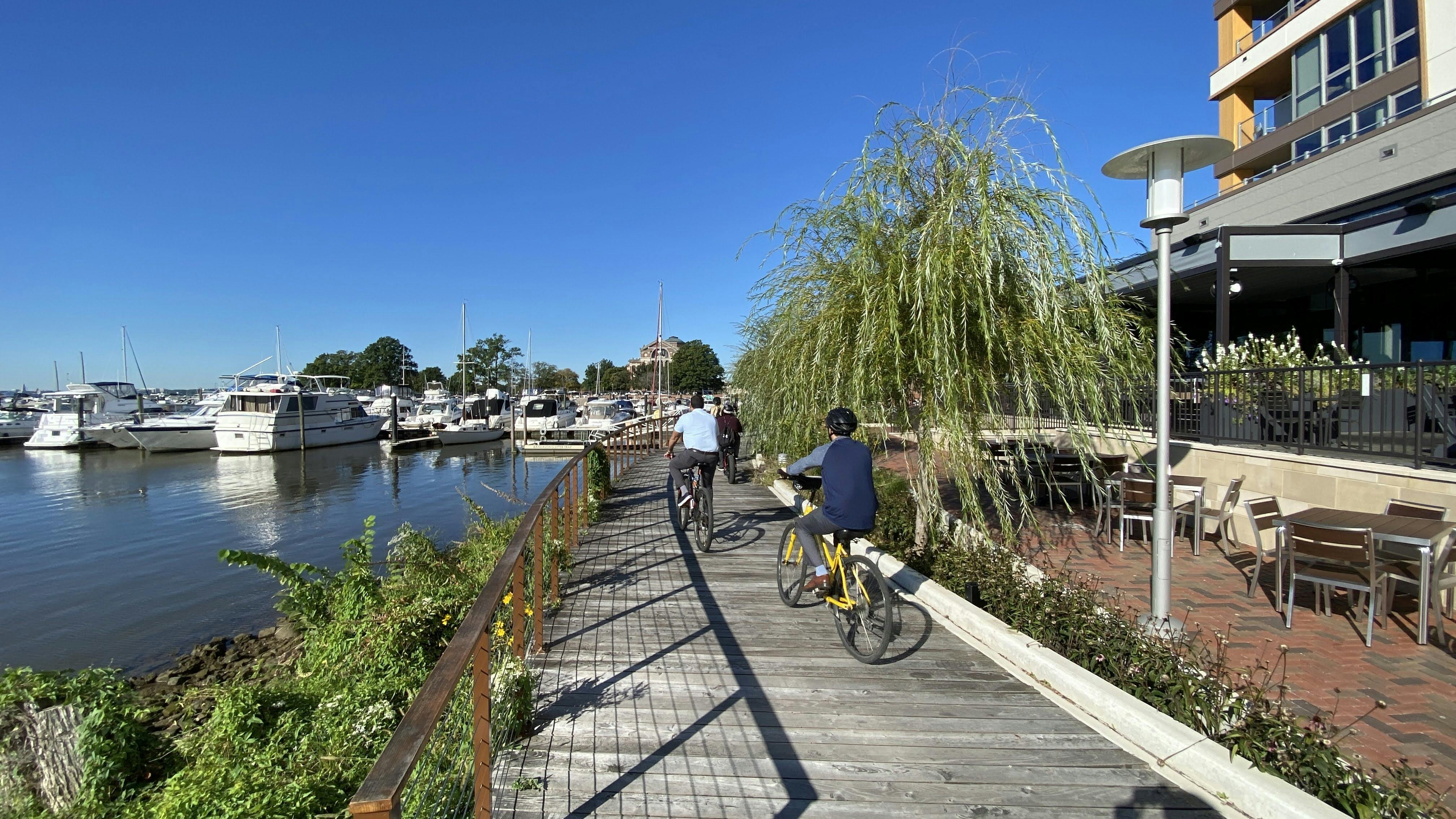Deux personnes font du vélo sur une promenade en bois à côté d'un port de plaisance avec des bateaux à quai. Un saule et un ciel bleu clair sont à l'arrière-plan.