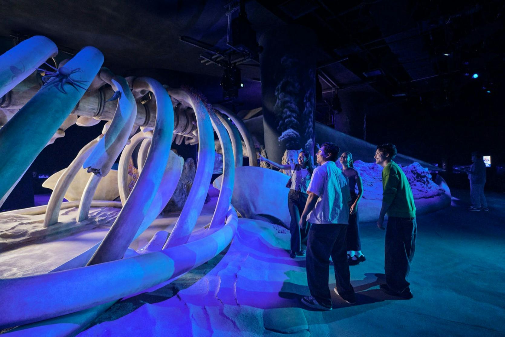 Singapore Oceanarium: Entry Ticket in Singapore – Tiqets