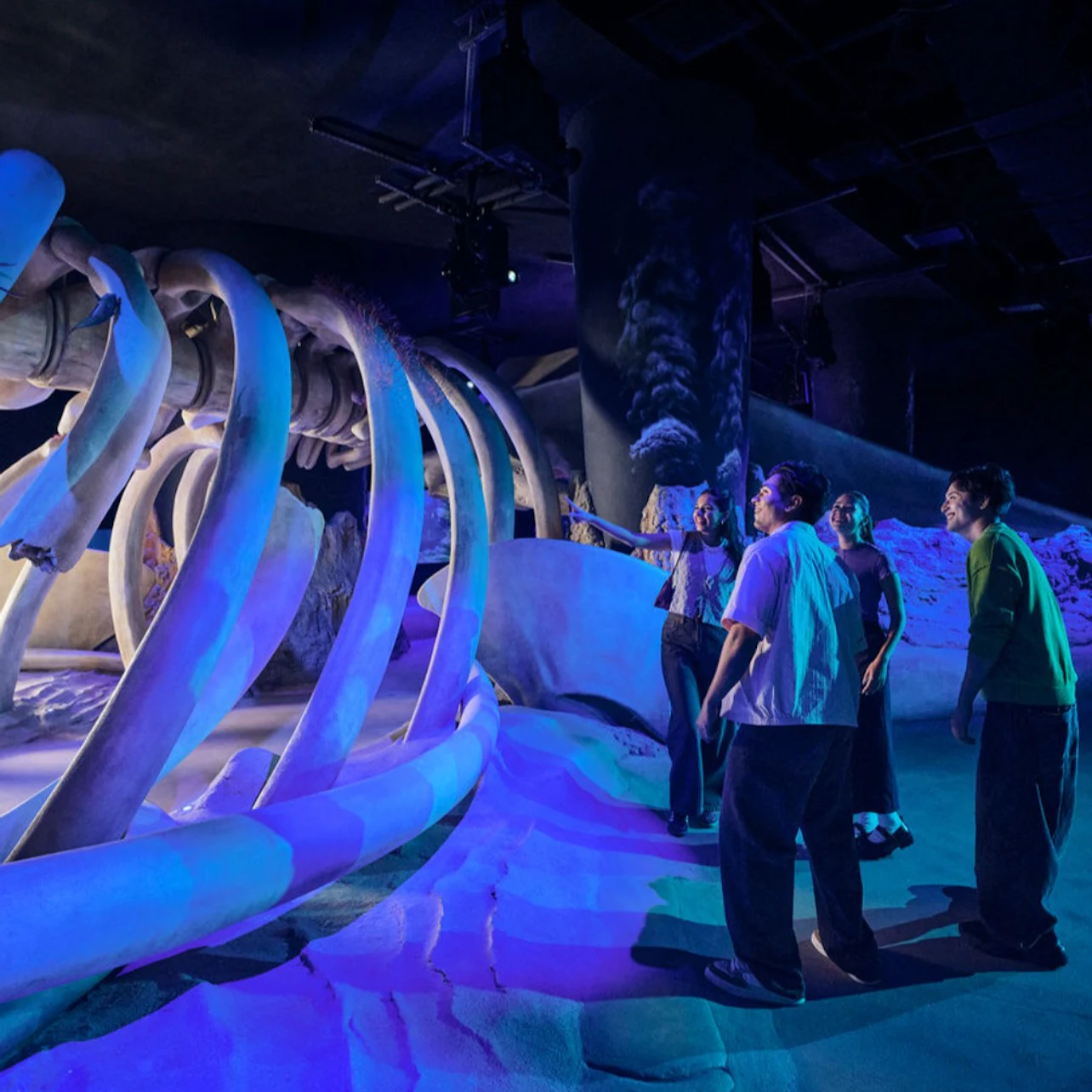 Singapore Oceanarium: Entry Ticket in Singapore β Tiqets