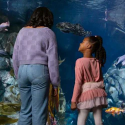 Aquarium of the Pacific: Skip The Line Ticket in destination