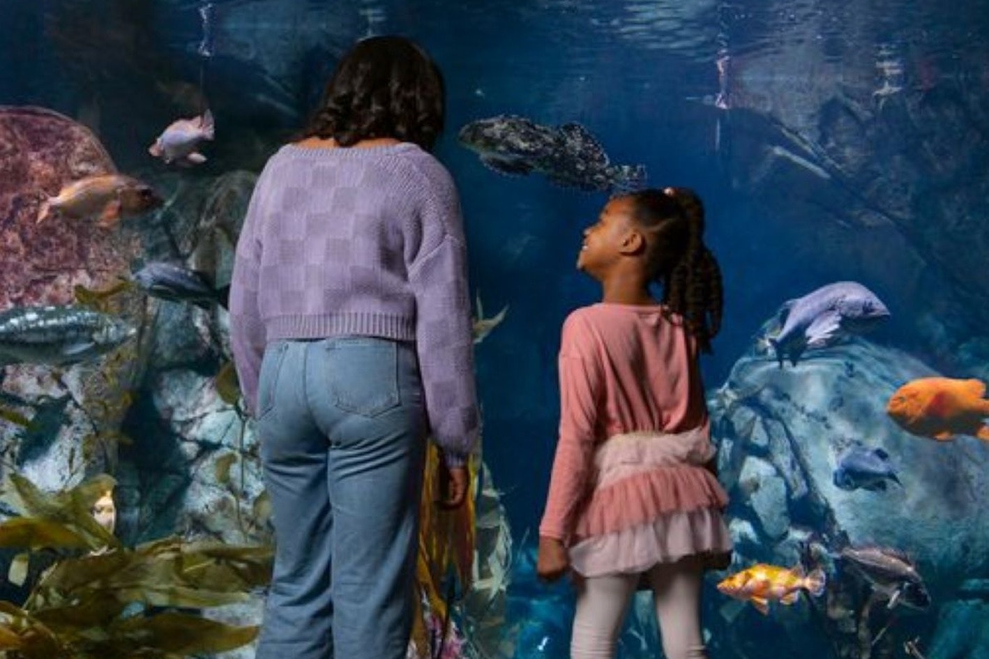 Aquarium of the Pacific: bilhete sem filas