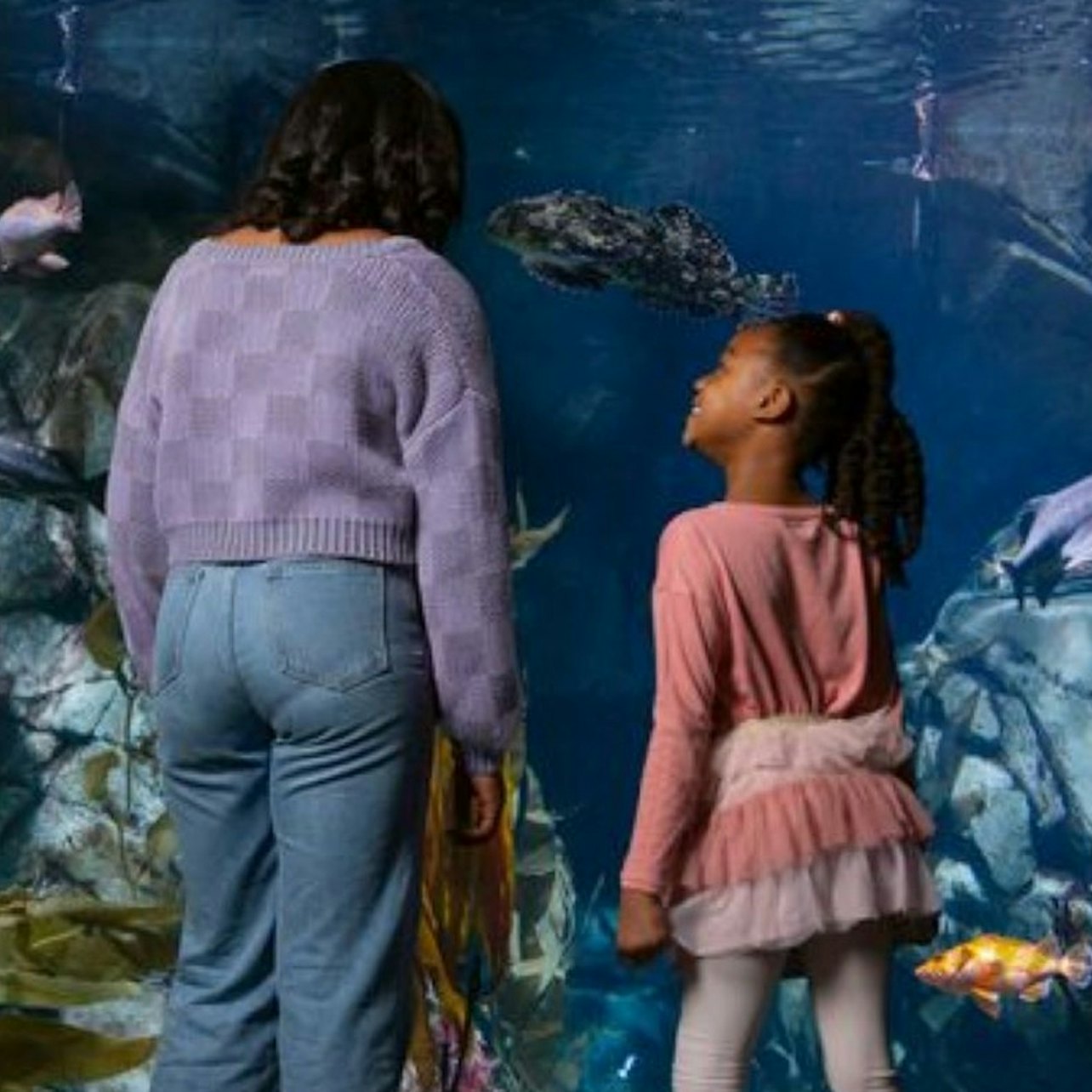 Aquarium of the Pacific: Sin colas - Alojamientos en Los Ángeles