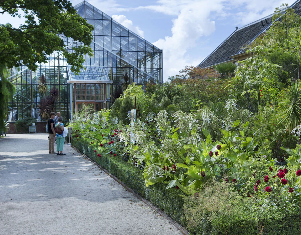 People standing on a gravel path beside lush garden plants and flowers, adjacent to a large glass greenhouse.