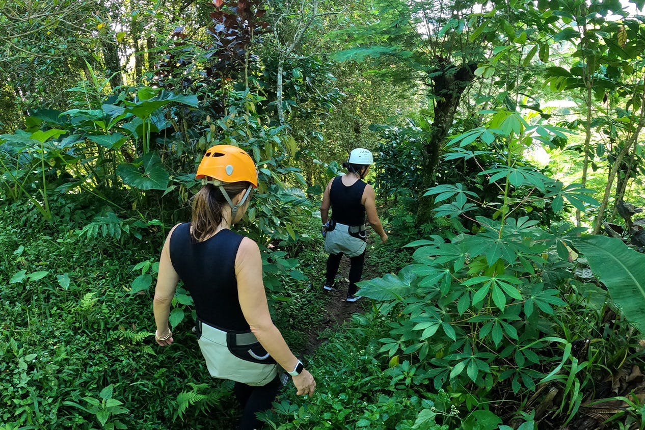 前往出发地前在种植园周围漫步。