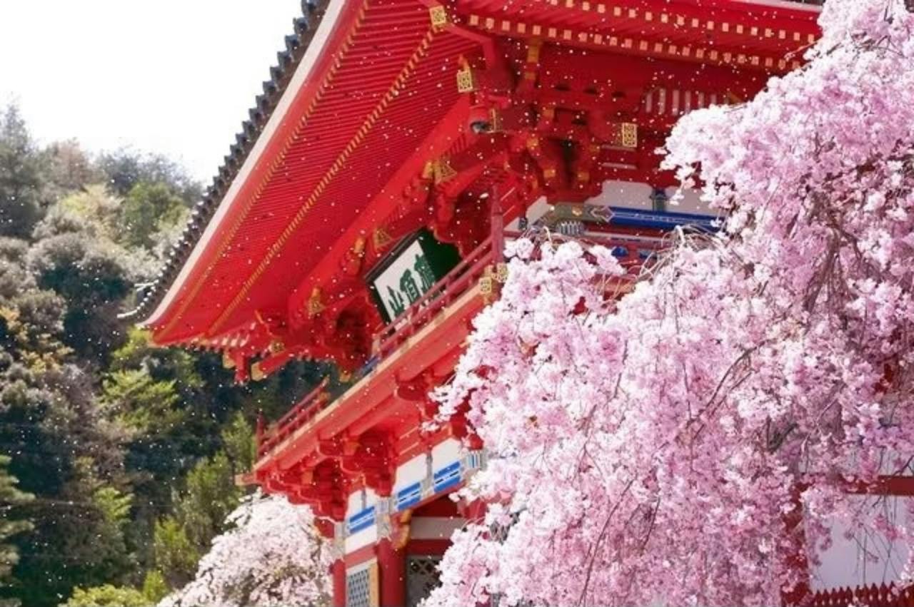 Osaka: Katsuo-ji Temple: Admission Ticket