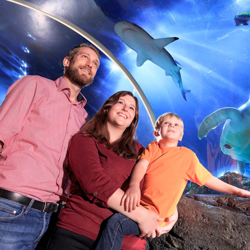 SEA LIFE Konstanz: Entry Ticket - Photo 2