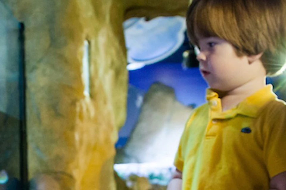 A woman crouches next to two young children in a brightly lit cave-like environment. The children wear colorful outfits.