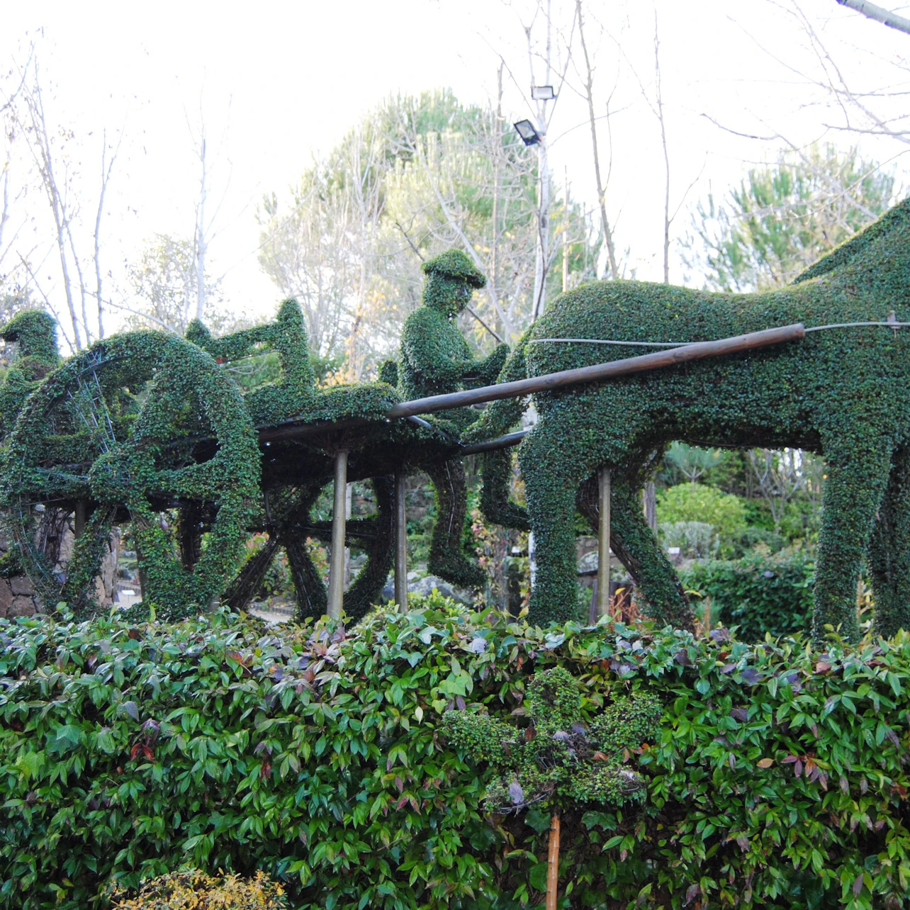 El Bosque Encantado: Entry Ticket