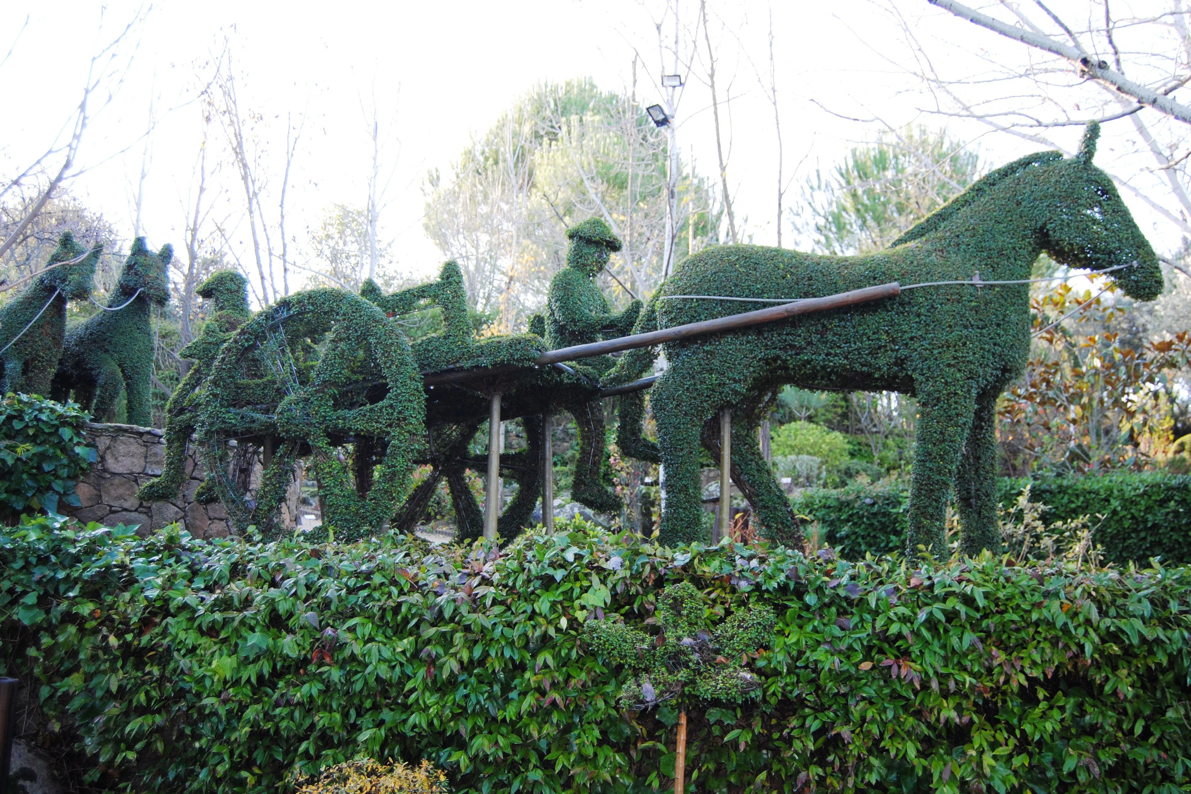 El Bosque Encantado: Entry Ticket