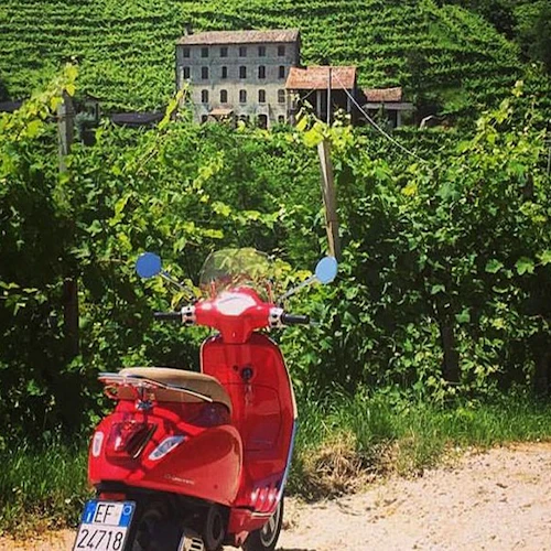 Chianti: passeio panorâmico de Vespa + ingressos para degustação de vinhos - Photo 4