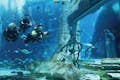 Дубайский аквариум и подводный зоопарк - незабываемые впечатления