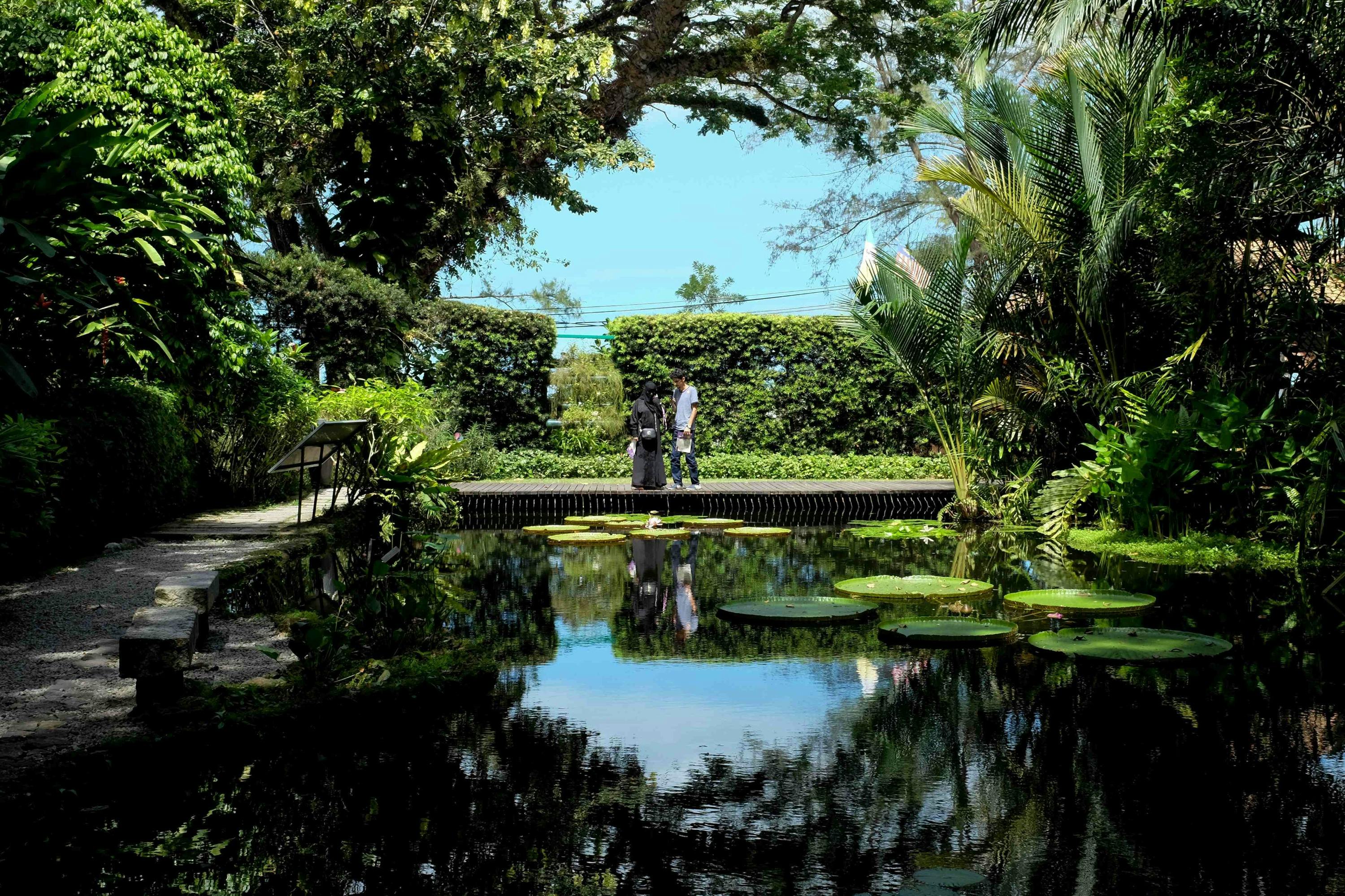 A serene garden with a pond featuring lily pads and two people standing on the opposite side, surrounded by lush greenery.