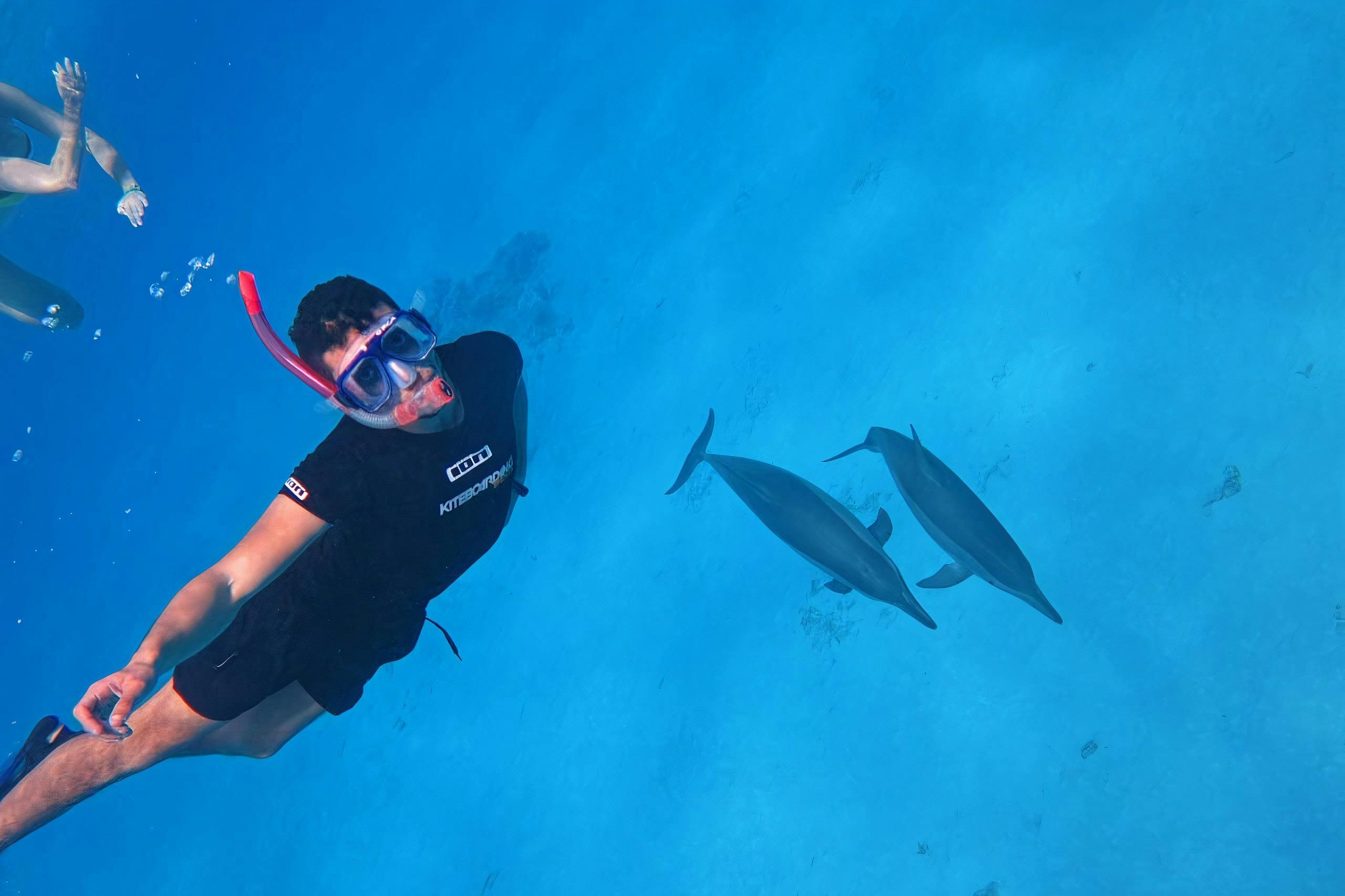 萨塔亚海豚之家之旅