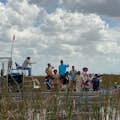 Airboat exploring the everglades 