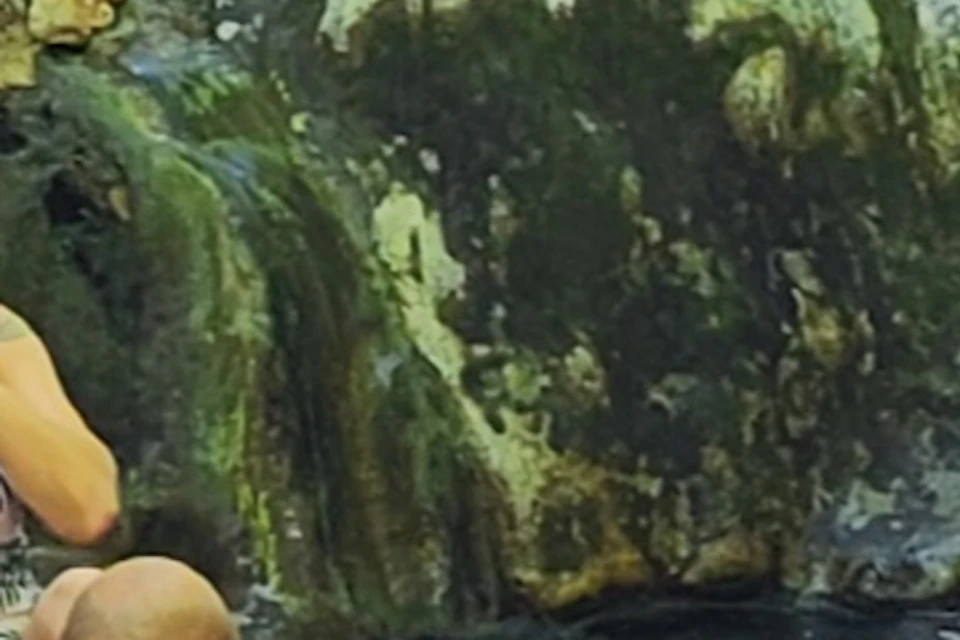Soak in the therapeutic and soothing waters of the hot springs