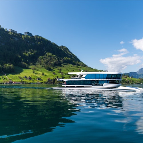 Crucero de 1 hora en catamarán por el lago de Lucerna