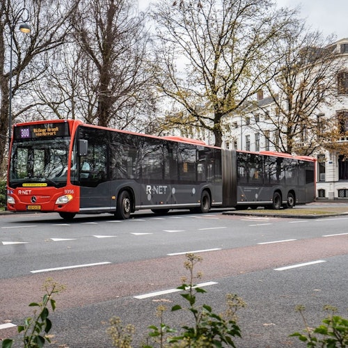 Traslado en autobús desde/hacia Amsterdam Schiphol y Haarlem