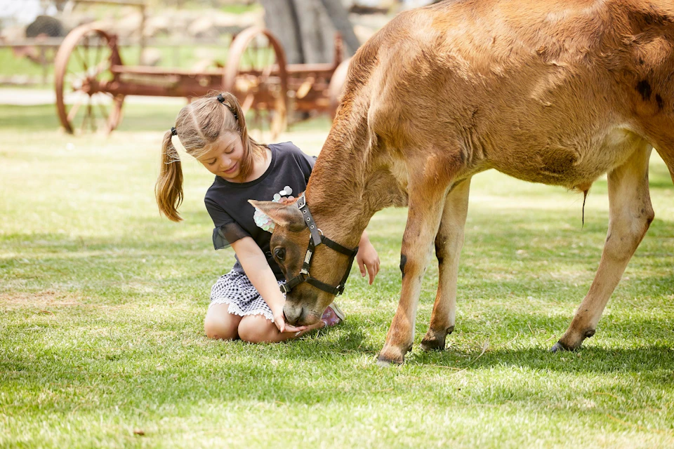 Oakvale Wildlife Park